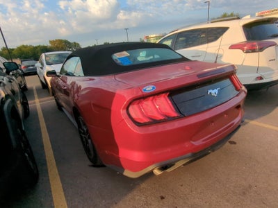 2022 Ford Mustang EcoBoost