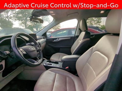 2021 Ford Escape Hybrid SEL