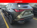2024 Lexus NX 250 Base