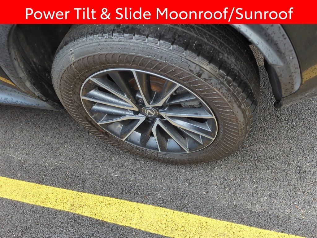 2024 Lexus NX 250 Base