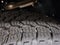 2026 Toyota Tacoma Hybrid Trailhunter