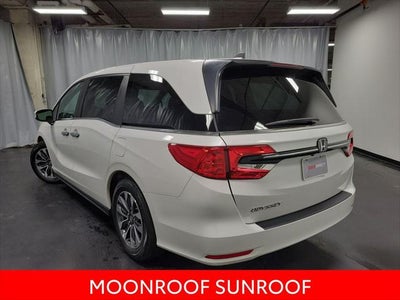 2023 Honda Odyssey EX-L