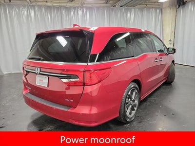 2023 Honda Odyssey Elite