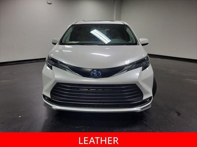 2025 Toyota Sienna XLE 7 Passenger