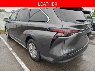 2025 Toyota Sienna XLE 7 Passenger