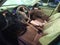 2009 Subaru Forester 2.5X