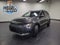 2024 Kia Niro EV Wind